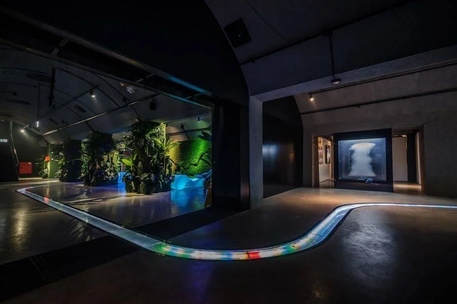 Planted gallery with an illuminated channel running through the floor