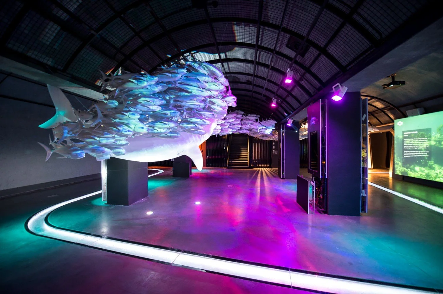 Suspended shoal sculpture above a magenta-lit hall
